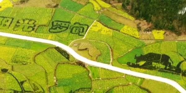 土地的涅槃｜全域土地綜合整治為何爆火？設(shè)計(jì)院如何搶占風(fēng)口？